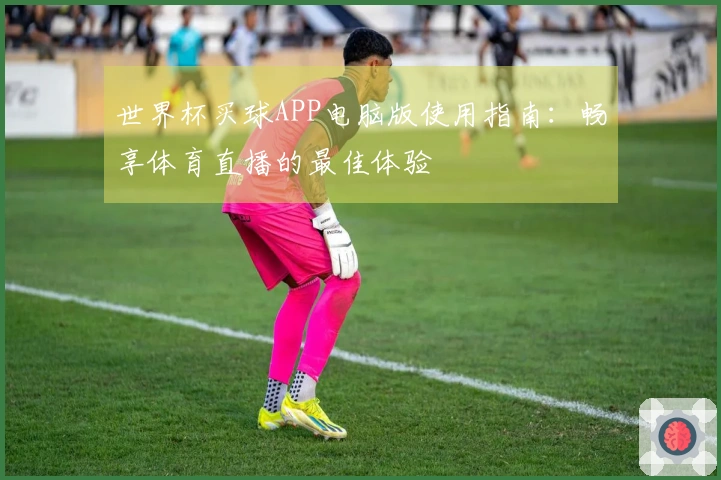 世界杯买球APP电脑版使用指南：畅享体育直播的最佳体验