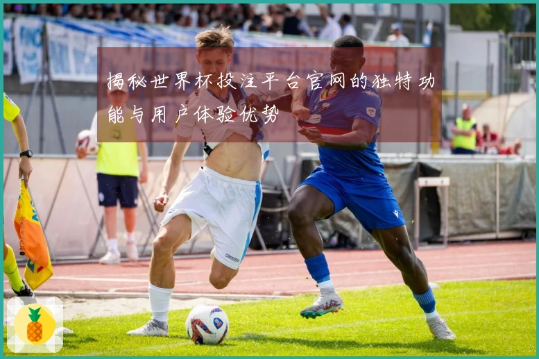 揭秘世界杯投注平台官网的独特功能与用户体验优势