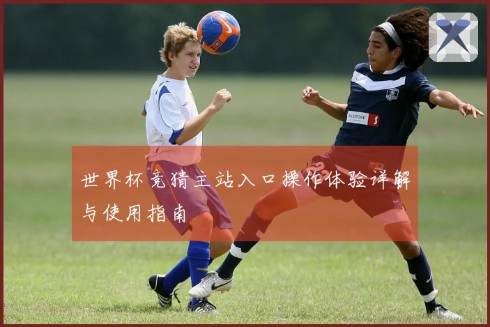 世界杯竞猜主站入口操作体验详解与使用指南