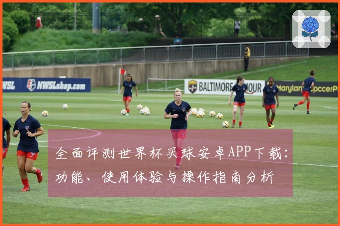 全面评测世界杯买球安卓APP下载：功能、使用体验与操作指南分析