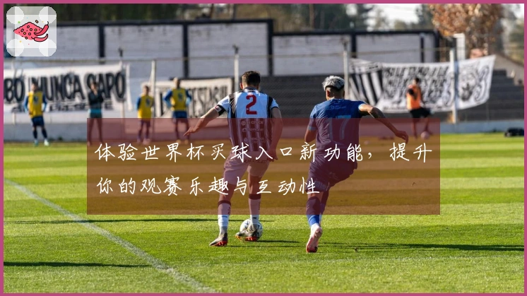 体验世界杯买球入口新功能,提升你的观赛乐趣与互动性