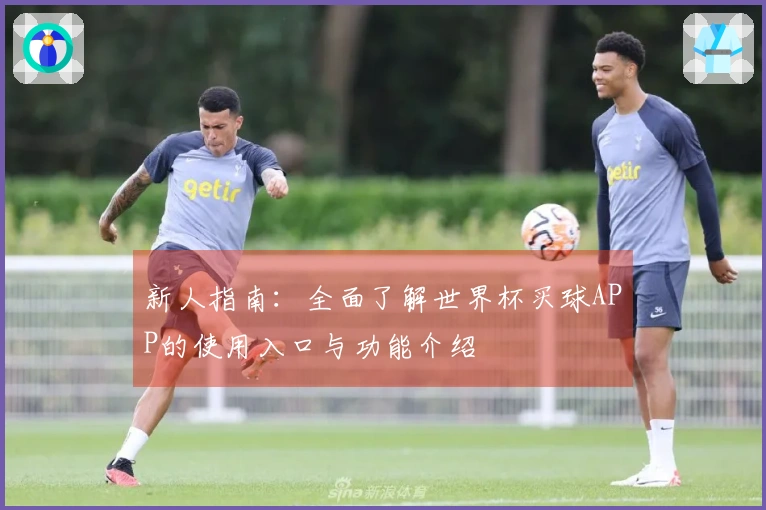 新人指南：全面了解世界杯买球APP的使用入口与功能介绍