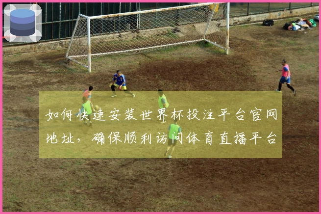 如何快速安装世界杯投注平台官网地址,确保顺利访问体育直播平台功能