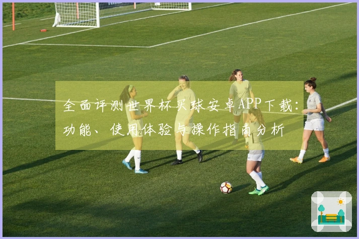 全面评测世界杯买球安卓APP下载：功能、使用体验与操作指南分析